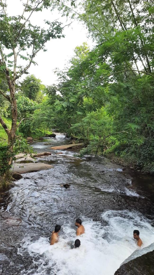 Wildglamps Athirappilly Otel Dış mekan fotoğraf