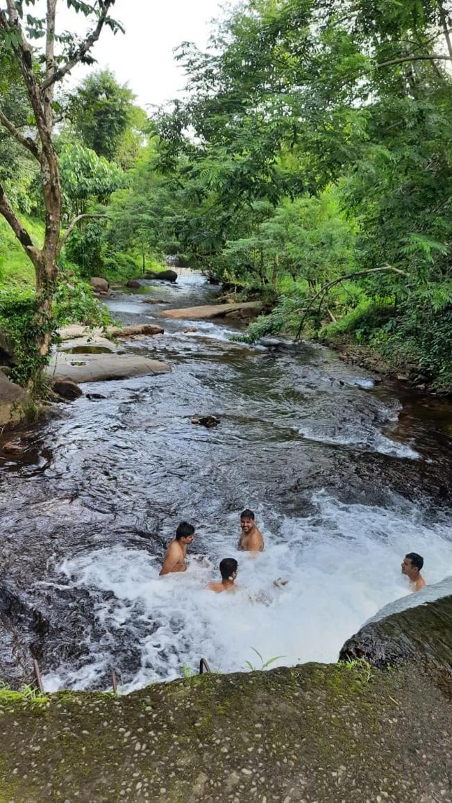 Wildglamps Athirappilly Otel Dış mekan fotoğraf